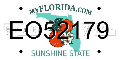 EO52179 Florida License Plate