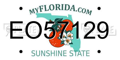 EO57129 Florida License Plate