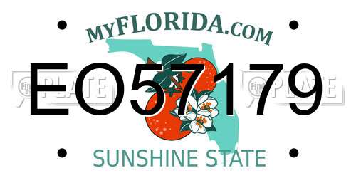 EO57179 Florida License Plate
