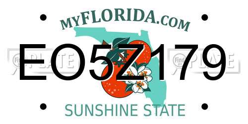 EO5Z179 Florida License Plate