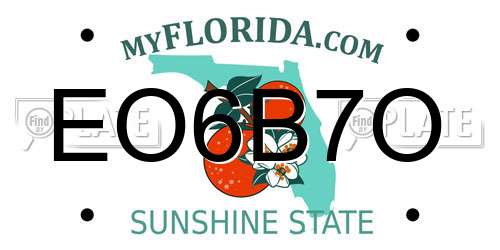 EO6B7O Florida License Plate