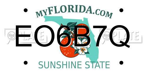 EO6B7Q Florida License Plate