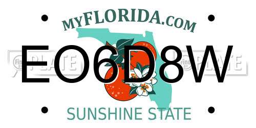EO6D8W Florida License Plate