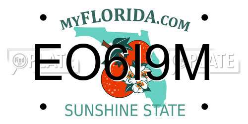 EO6I9M Florida License Plate
