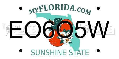 EO6O5W Florida License Plate
