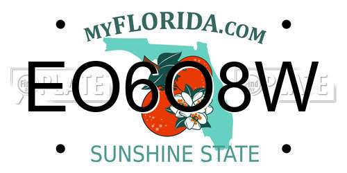 EO6O8W Florida License Plate