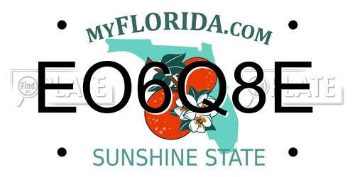 EO6Q8E Florida License Plate