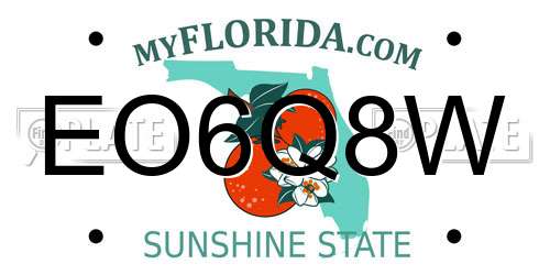 EO6Q8W Florida License Plate