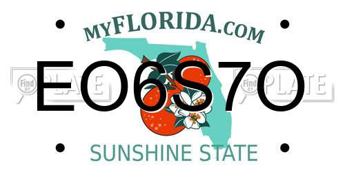 EO6S7O Florida License Plate