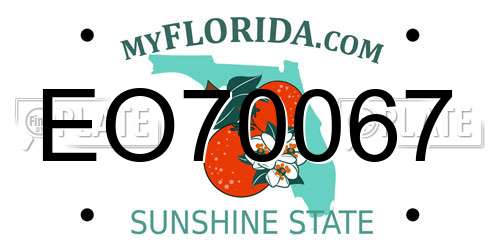 EO70067 Florida License Plate