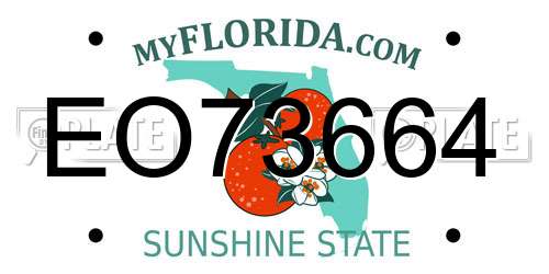 EO73664 Florida License Plate