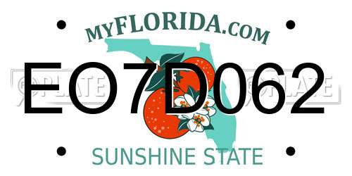 EO7D062 Florida License Plate