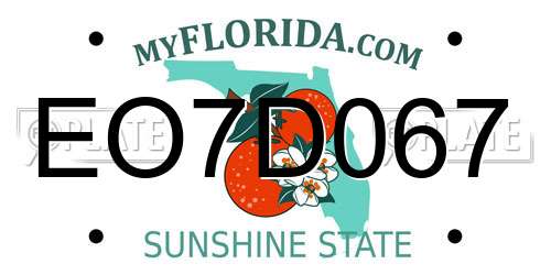 EO7D067 Florida License Plate