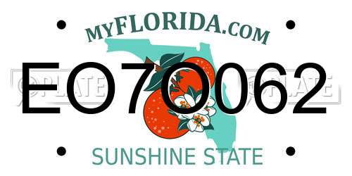 EO7O062 Florida License Plate