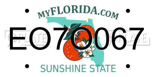 EO7O067 Florida License Plate