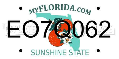 EO7Q062 Florida License Plate