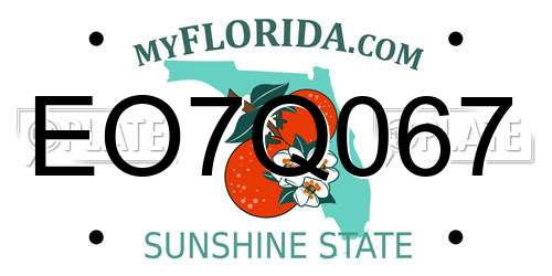 EO7Q067 Florida License Plate