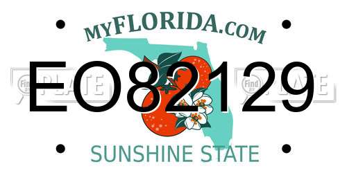 EO82129 Florida License Plate