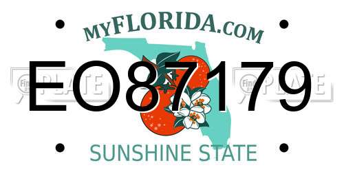 EO87179 Florida License Plate