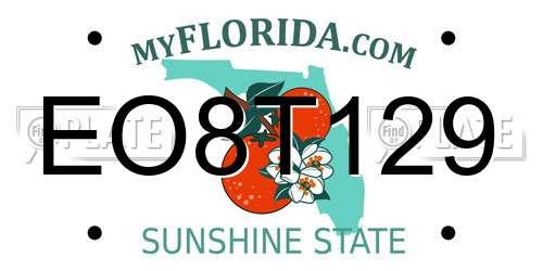 EO8T129 Florida License Plate