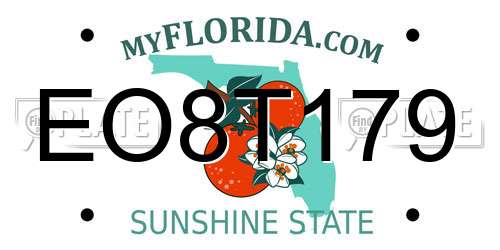 EO8T179 Florida License Plate