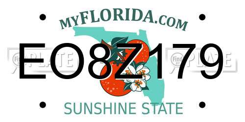 EO8Z179 Florida License Plate