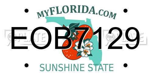 EOB7129 Florida License Plate