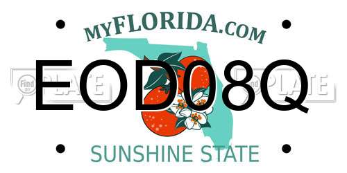 EOD08Q Florida License Plate