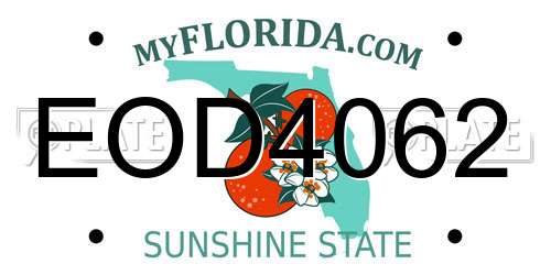 EOD4062 Florida License Plate