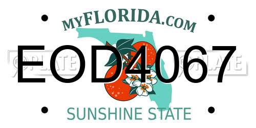 EOD4067 Florida License Plate