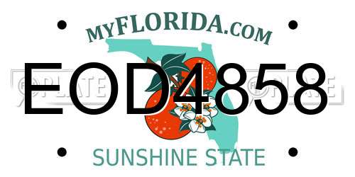 EOD4858 Florida License Plate