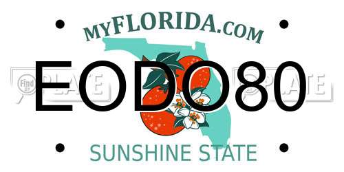 EODO80 Florida License Plate