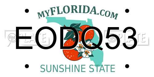 EODQ53 Florida License Plate