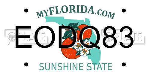EODQ83 Florida License Plate