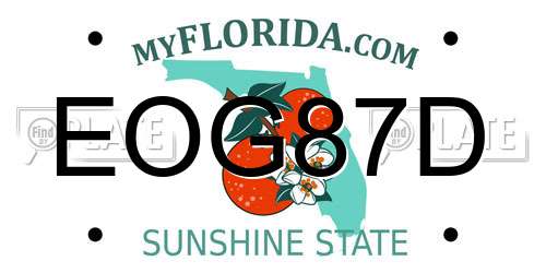 EOG87D Florida License Plate