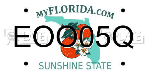 EOO05Q Florida License Plate