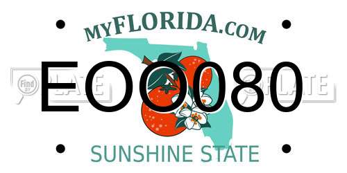EOO080 Florida License Plate