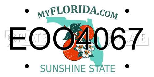 EOO4067 Florida License Plate