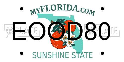 EOOD80 Florida License Plate