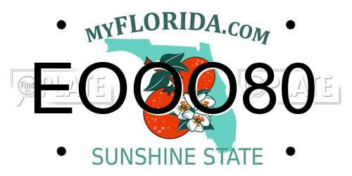 EOOO80 Florida License Plate