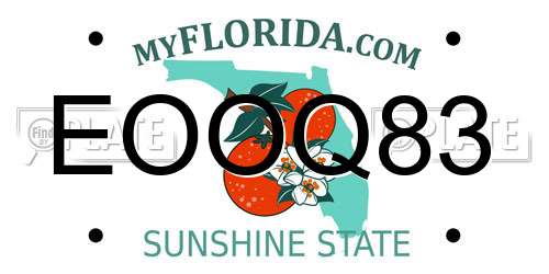 EOOQ83 Florida License Plate