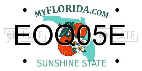 EOQ05E Florida License Plate