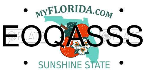 EOQASSS Florida License Plate