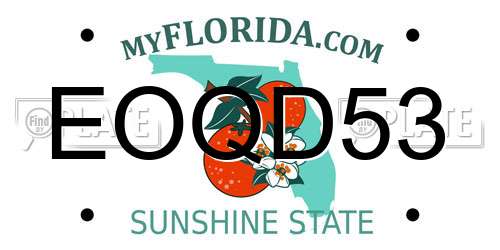 EOQD53 Florida License Plate
