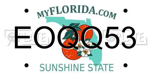 EOQQ53 Florida License Plate