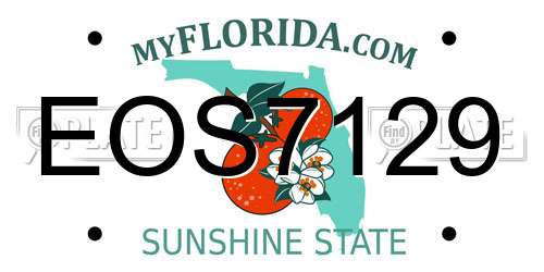 EOS7129 Florida License Plate
