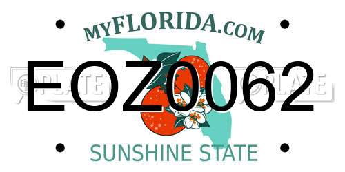 EOZ0062 Florida License Plate
