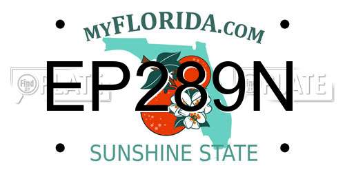 EP289N Florida License Plate