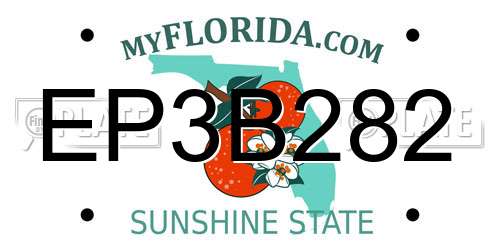 EP3B282 Florida License Plate