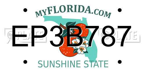 EP3B787 Florida License Plate